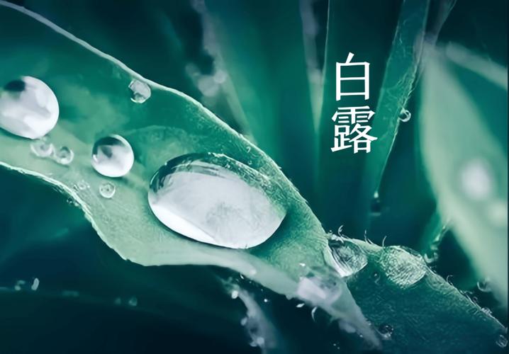 【神州源流诗苑】第1406期佳词周刊(图6)