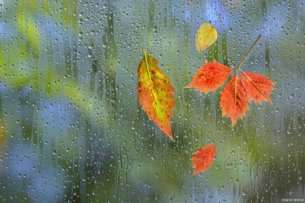 自由体《秋 捡拾回忆》外一首文/郑金波