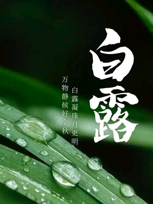 【上海头条】诗生活‖古韵飘香第244期（图11）