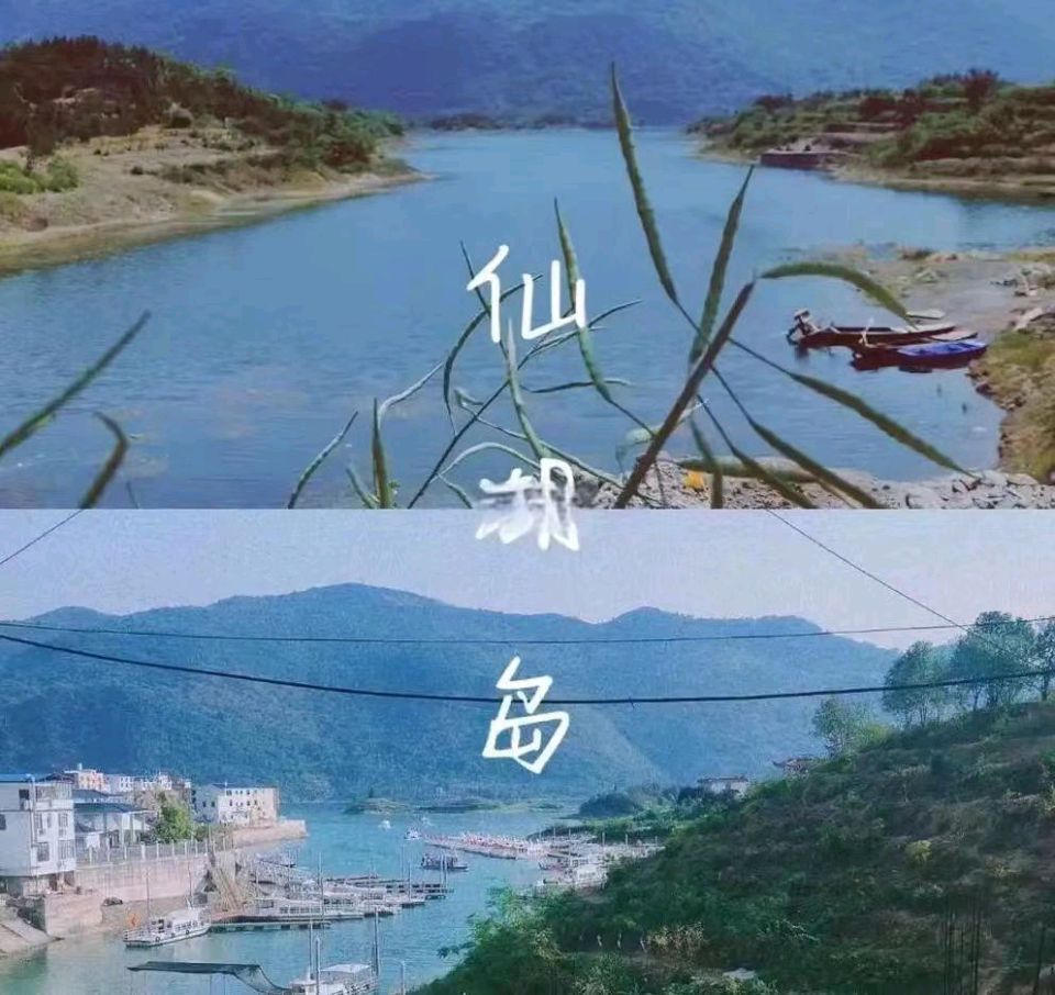 【上海头条】诗生活‖古韵飘香第244期（图15）