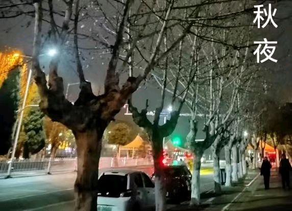 八桂弦歌融碧血.七星桃李璨青牛∥覃远通.唐江.班镇.冯继斌.莫天华.刘兴华.徐金耀.牛在坤等佳作欣赏∥书法江湖69期.都市头条275期(图26)