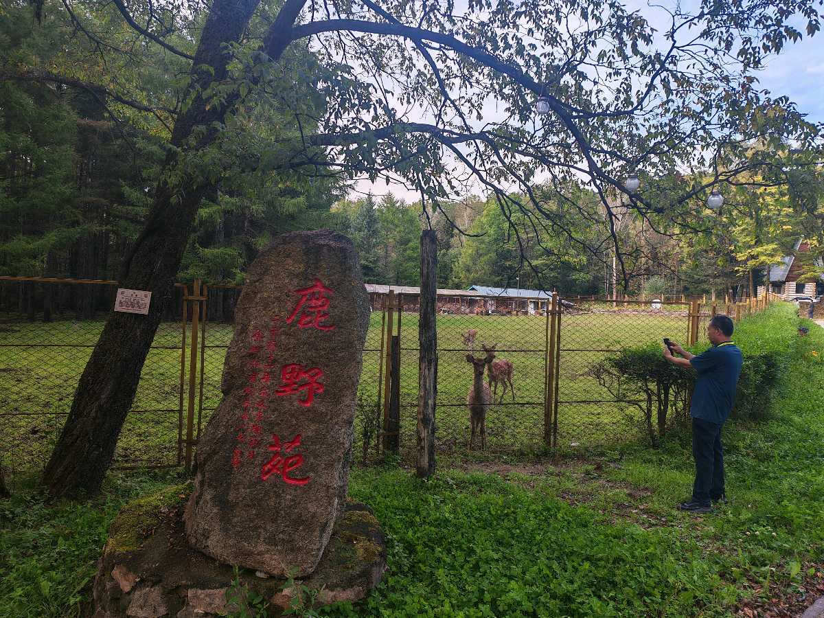 大庆铁人书画院助力“中国*日月峡”（图110）