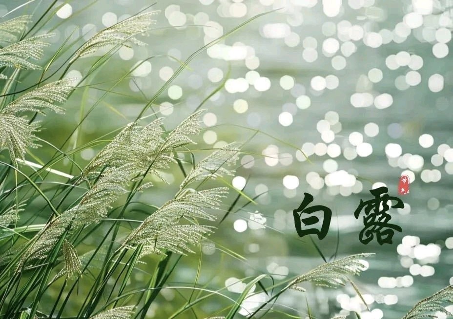 七律•白露（通韵）文/戴嘉臣（图3）