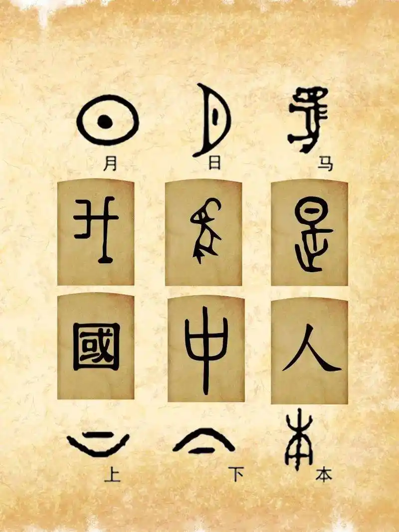 【新山东文学社】《中华之汉字,人类之瑰宝》作者/陈铠 主播/菊心拾雨(图6)