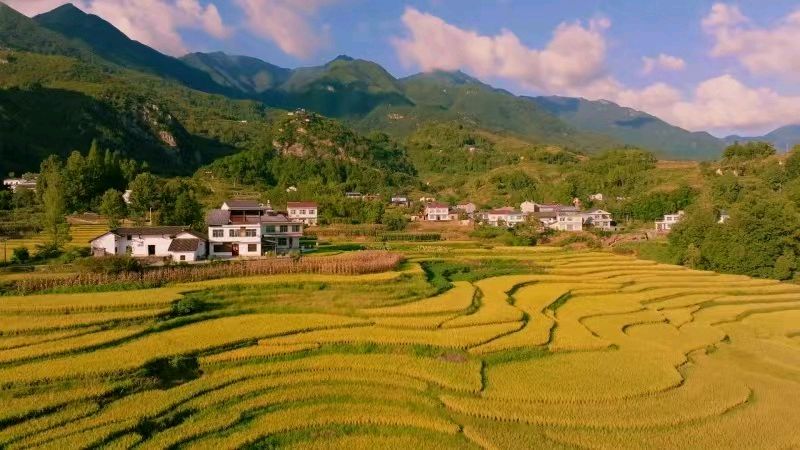 【荣耀中国】七律.秋分李德政（安康）（图4）