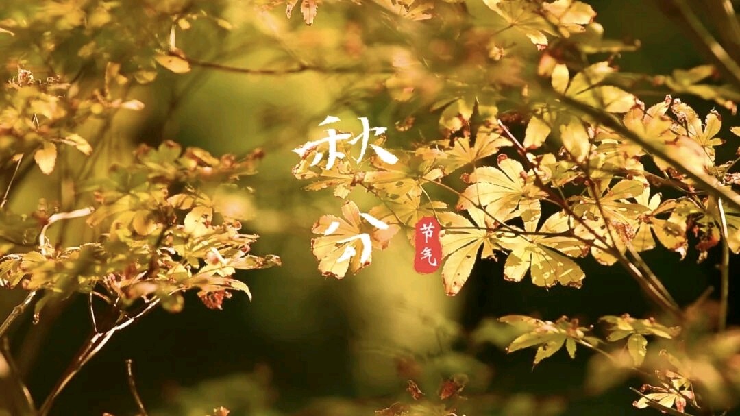 渔歌子*秋分得句金夜（兰州）（图4）
