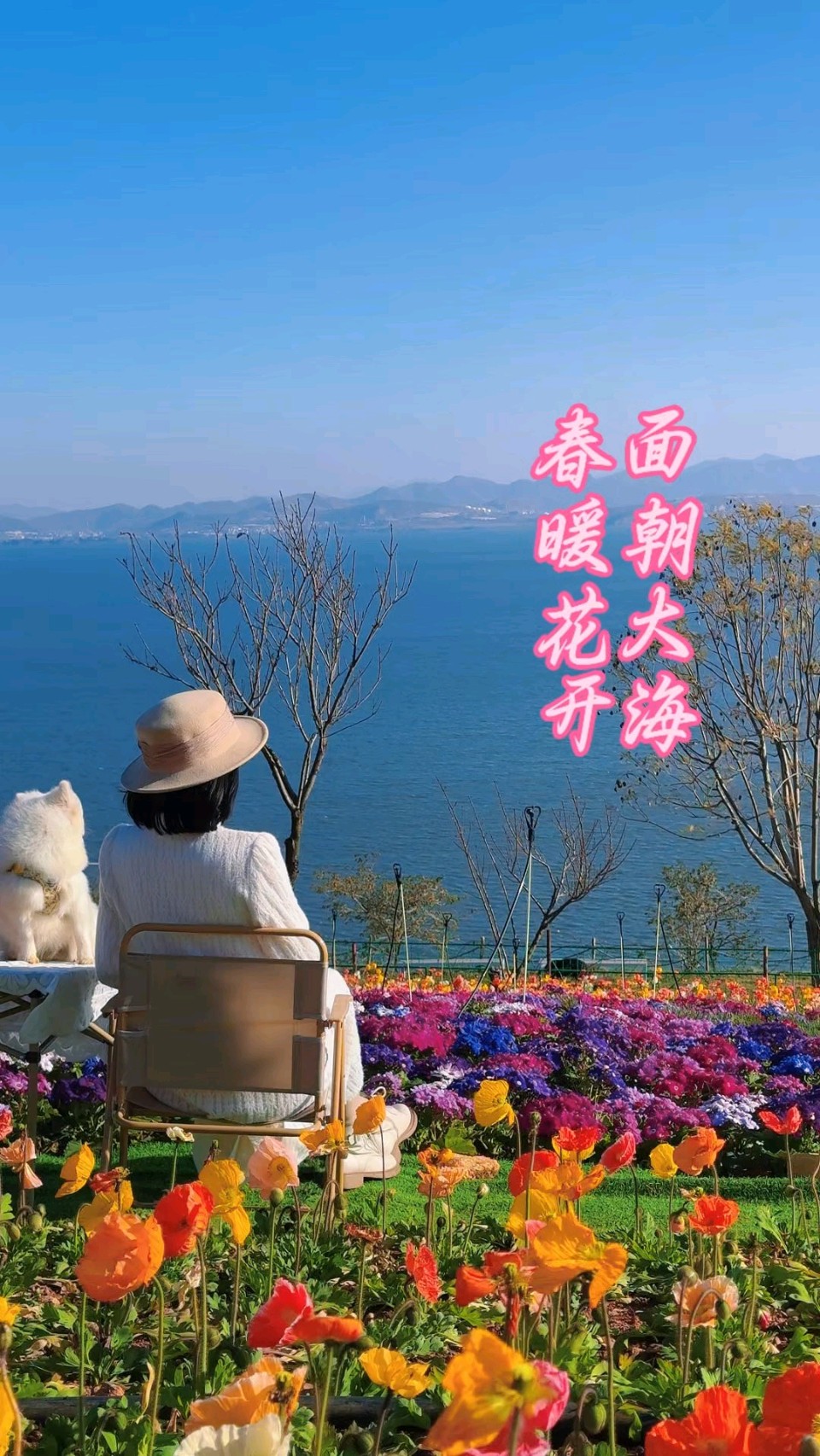 面朝大海，春暖花开——今日小记～文◑风清清（图10）
