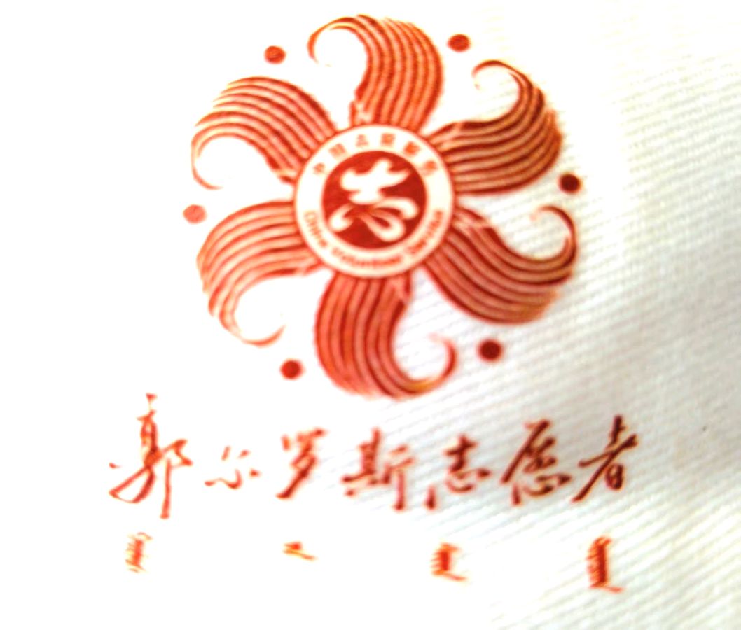 《查干湖马拉松志愿服务感怀》联机全球发布于文和作品欣赏(图7)
