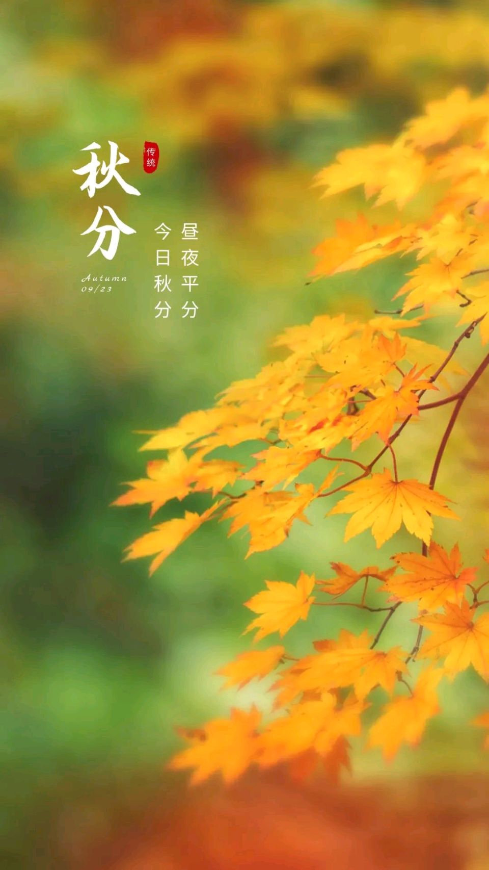 【神都诗社】第135期《秋分》（图13）