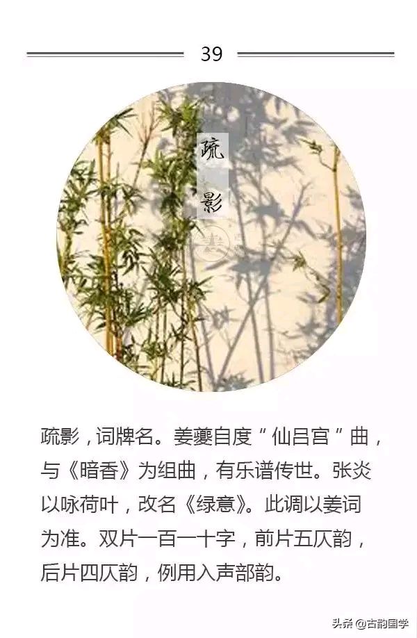 《当代诗人海风创作当代古诗词牌赏析》作者：海风 [中国现代诗歌文化传媒推荐]（图5）