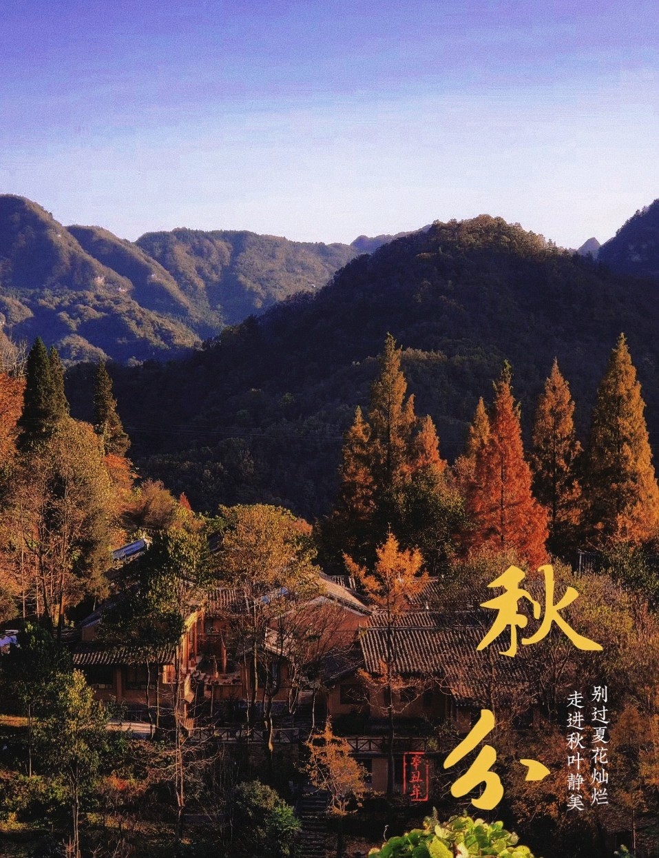 《七律 • 秋分寄怀》作者/吴云钦