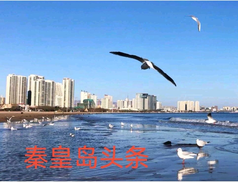 天之蓝,梦之蓝(图2)