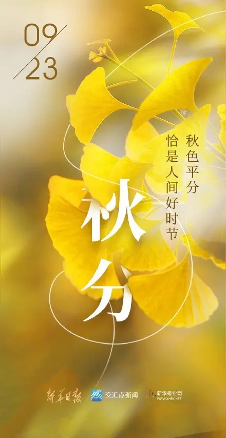 中医是一门集玄学超科学与科学一体的学问（文/孙述考）/中医：玄学、超科学与科学的融合（文/王保江）……莲叶之珠文学社（图6）