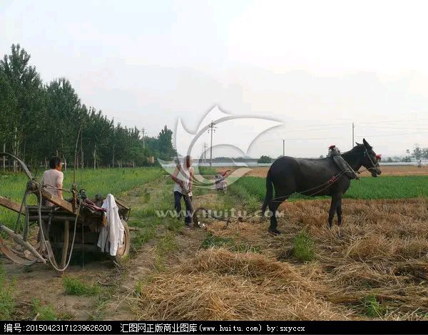 【双调·沉醉东风】乙巳秋风日感老家种地难（文/张华兴）……莲叶之珠文学社