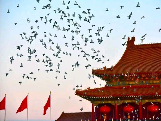 学海泛舟国庆节集锦（图2）