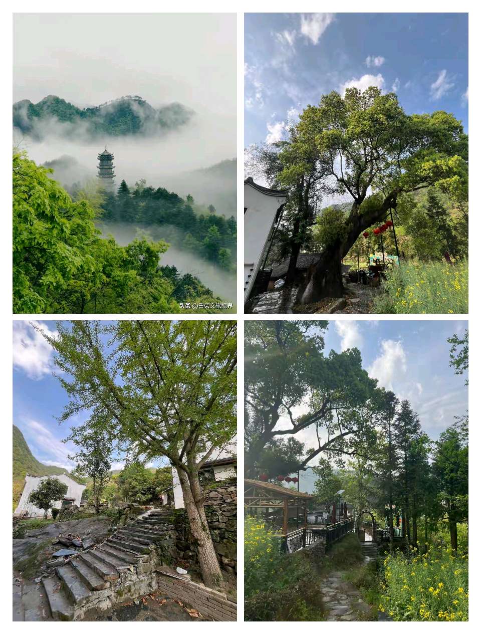 【燕赵文学】散文： 水流云在古道幽（安徽/陈耀进）（图4）