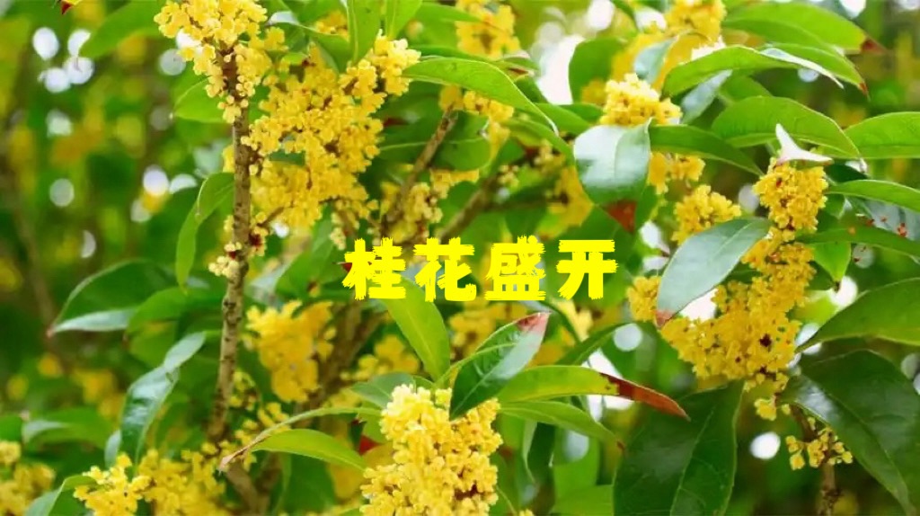 【知音诗苑】推荐李作华先生优秀作品集锦（图3）