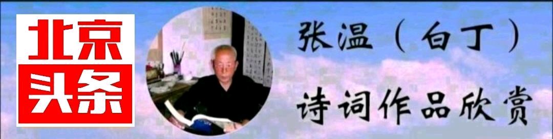 获年度优秀奖诗人张温(白丁)现代诗专辑/中华诗艺社黑龙江分社【2025第211期】（图5）