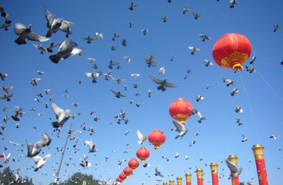 【荣耀中国】五绝 假休翁文/南山翁（图4）