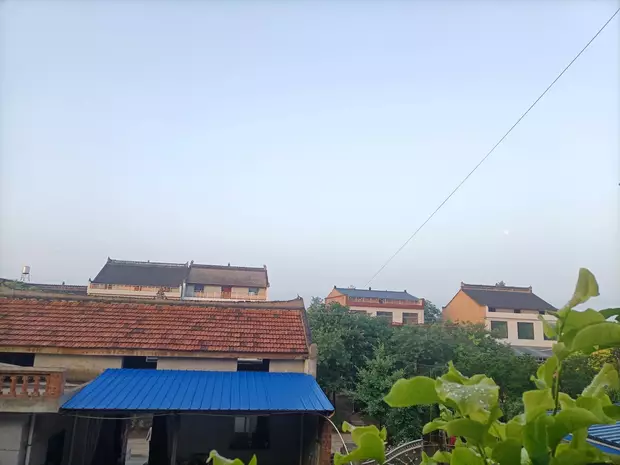 子乐禅：禅妙清听
