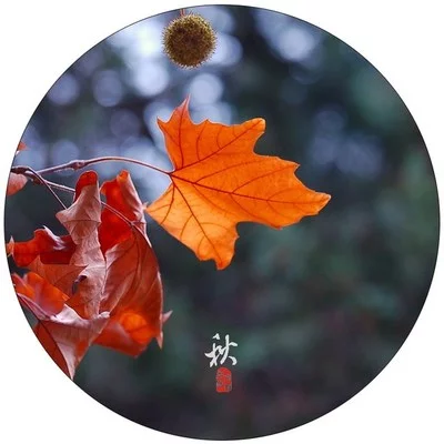 秋，这个季节（7）‖巴彦诗协【1018】（图3）