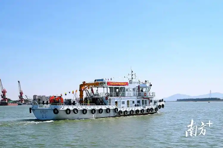 聆听 ‖ 梁红艳朗诵《到南方去》作者/白璞（图7）