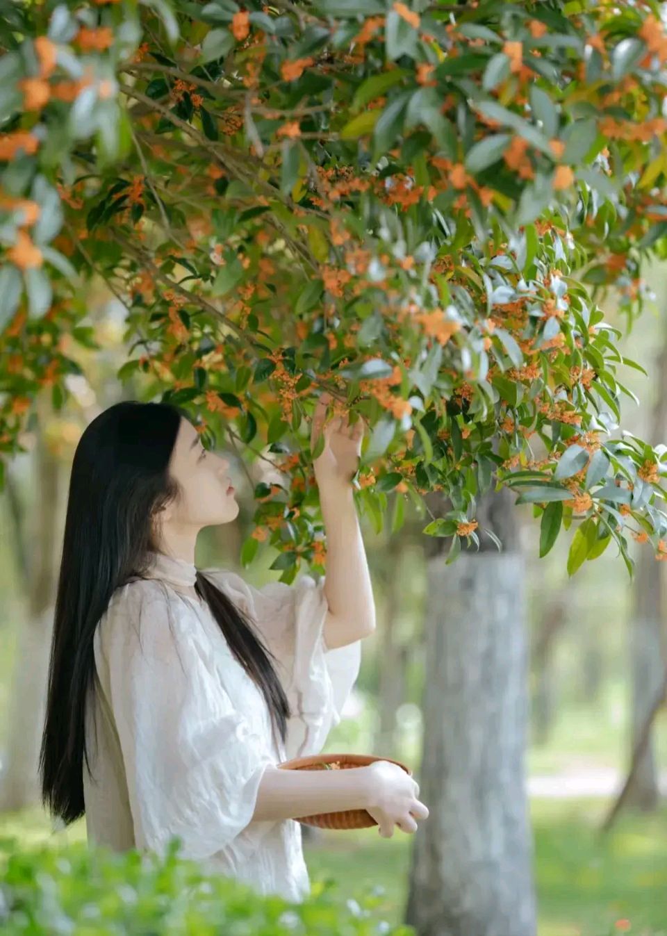 又是中秋～诗◑小苹果（图14）