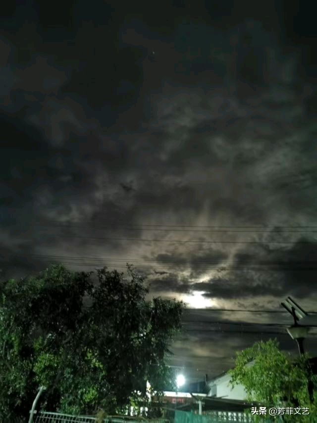 中秋佳节雨，淋伤文人心。（图13）