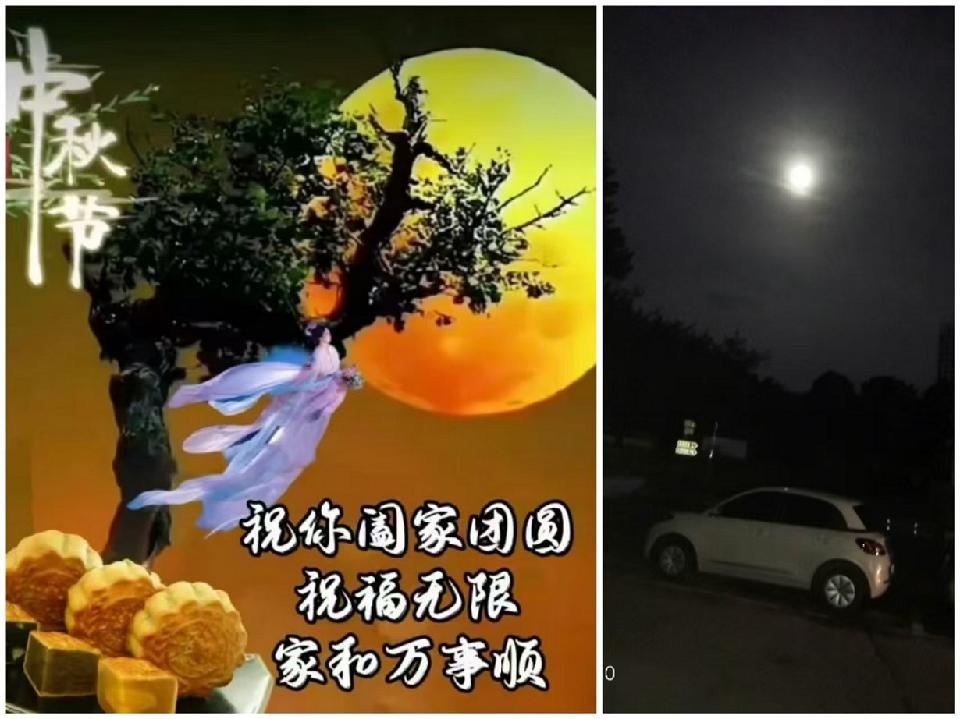 17（供图单发）