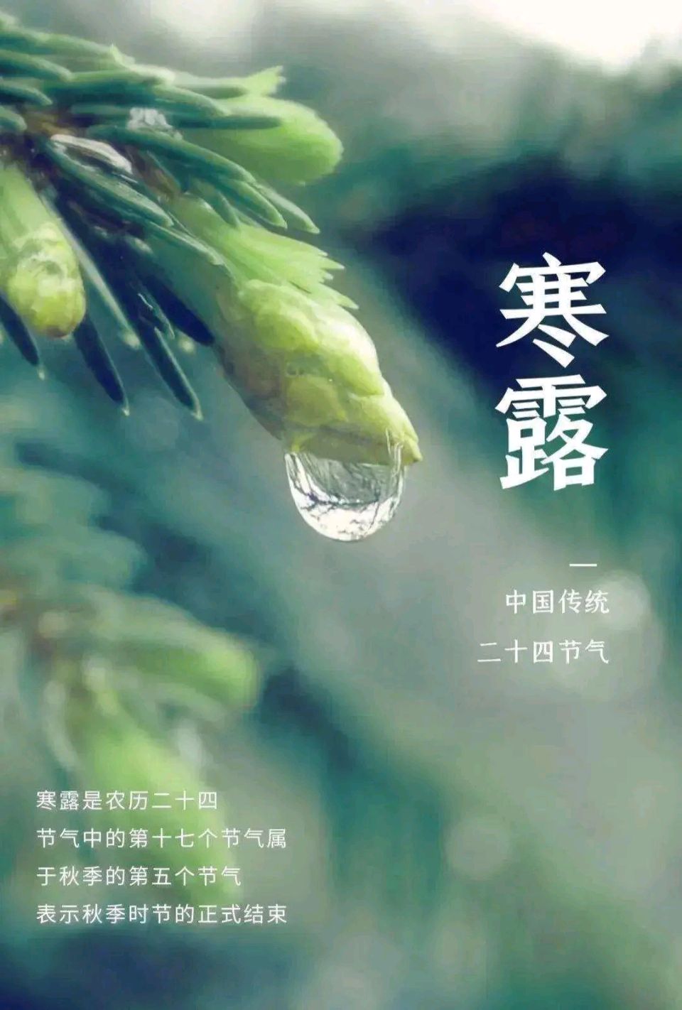 许日辉:七绝《乙巳白露节气吟怀》十二首/中华诗艺社黑龙江分社【2025第224期】（图9）