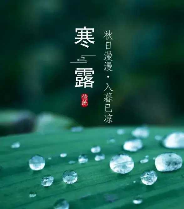 许日辉:七绝《乙巳白露节气吟怀》十二首/中华诗艺社黑龙江分社【2025第224期】（图6）