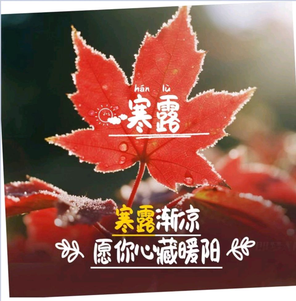 【荣耀中国】乙巳 • 寒露王富保(山西和顺)（图5）
