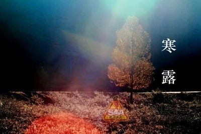 寒露‖巴彦诗协【1021】（图6）