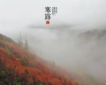 寒露‖巴彦诗协【1021】（图4）