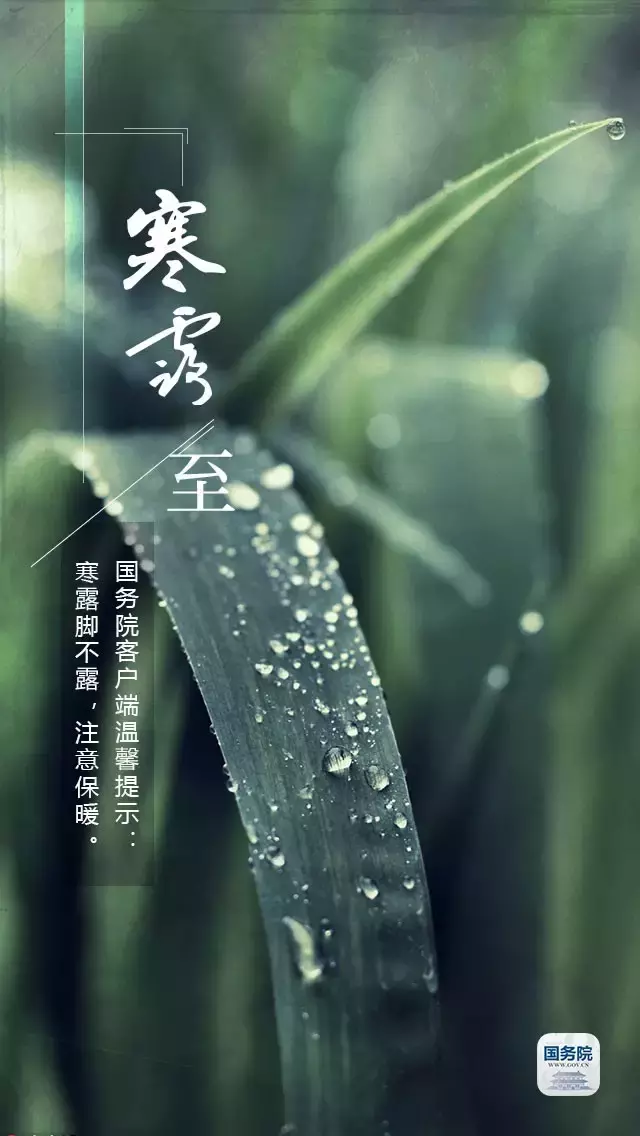 【荣耀中国】散文诗:寒露作者:米义勇（图6）