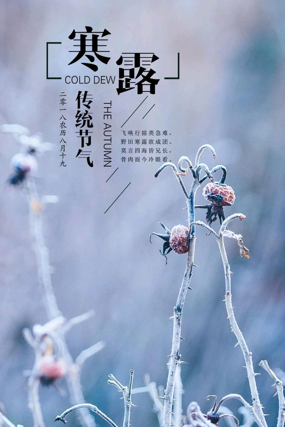 薛有毅诗词联精选/中华诗艺社黑龙江分社【2025第227期】（图7）