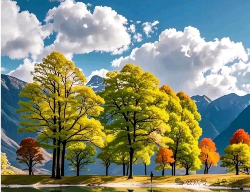 刘晁林《社庆走笔》（图3）