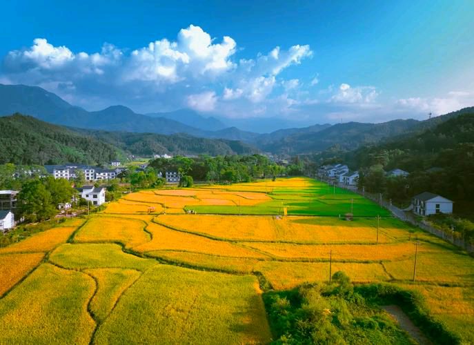 【散文】《秋色谱:大地写给人间的斑斓情书》作者:强军/陕西宝鸡（图13）