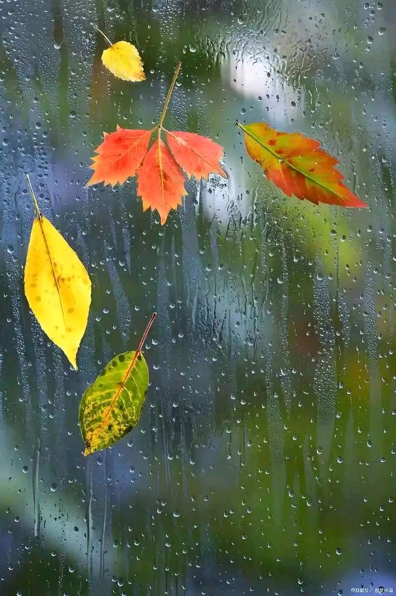 【故道文化·古风·7418】王洪亮《秋雨》（图2）