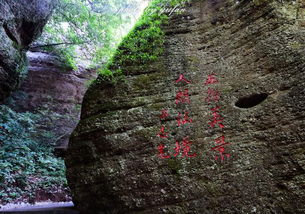 《与诗人张二棍游五指泉》作者/李红召主播/庞妍 文审/鸿雁主编/胡琴（图3）
