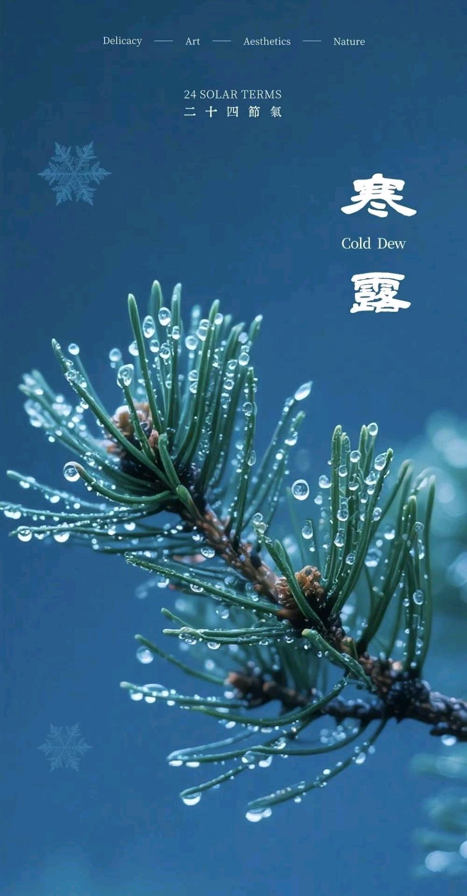 【荣耀中国】【天净沙·寒露】风鸽（重庆 张晓峰）（图4）