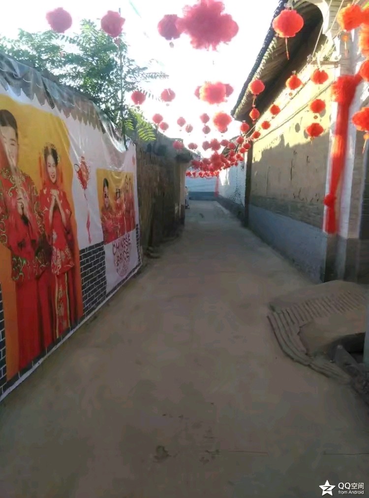 陕西张志民《中秋饺子香，情谊永绵长》（图27）
