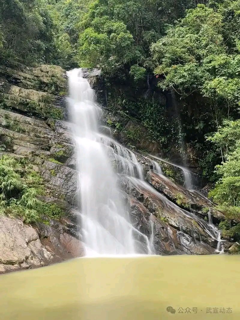 【中国诗人】（名家风采）中留人士李尚春老师为家乡题赋（图9）