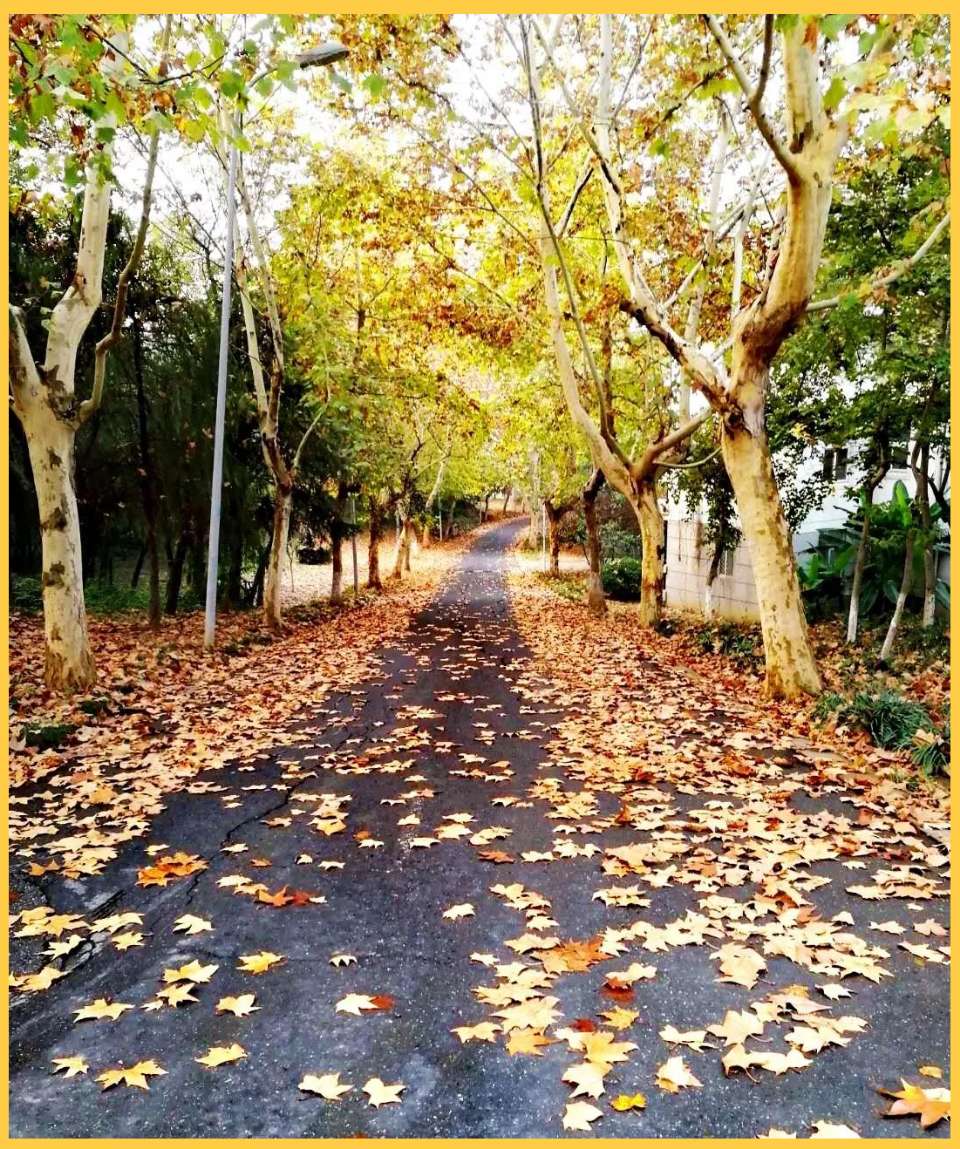 【神州源流诗苑】第1417期优秀近体诗周刊(图8)