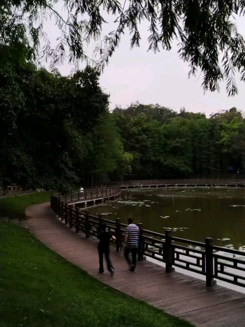 【荣耀中国】邱建宏题图诗第3期(图56)