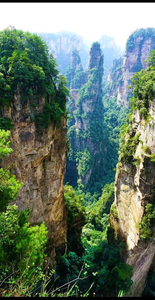 【荣耀中国】邱建宏题图诗第3期(图10)