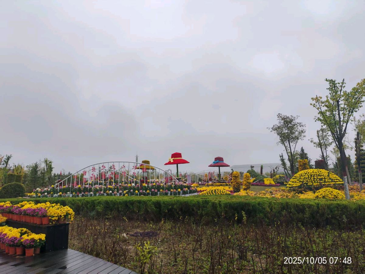 陕西作家相炜宁精彩作品欣赏(图17)
