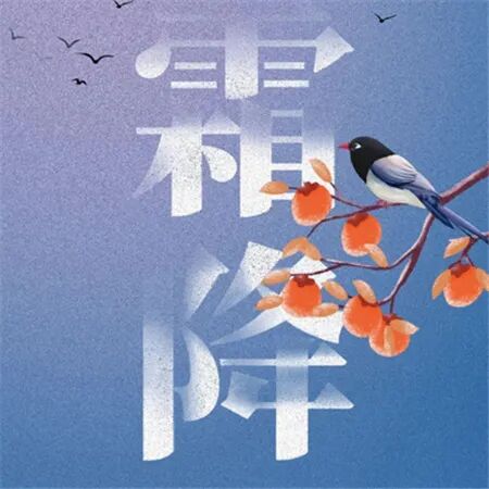 石家庄市藁城区诗词协会第九十四期同题诗：霜降，最后的秋天（图15）