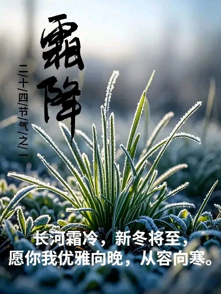 石家庄市藁城区诗词协会第九十四期同题诗：霜降，最后的秋天（图16）