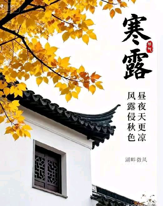 【上海头条】诗生活‖古韵飘香250期（图16）